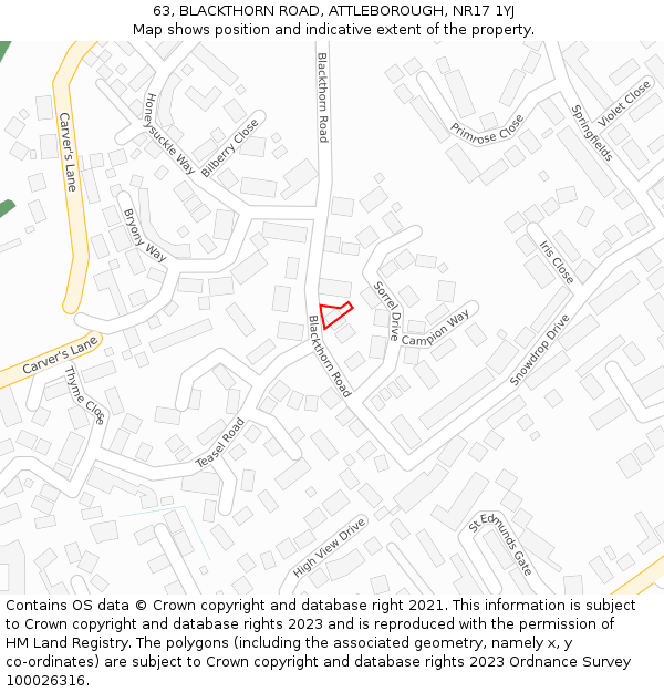 63, BLACKTHORN ROAD, ATTLEBOROUGH, NR17 1YJ: Location map and indicative extent of plot