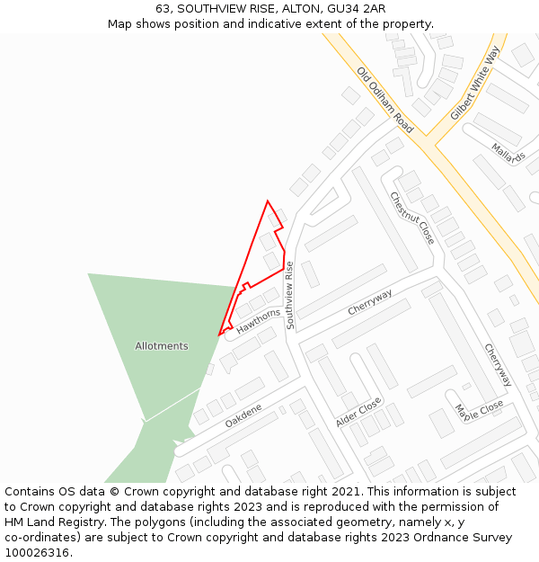 63, SOUTHVIEW RISE, ALTON, GU34 2AR: Location map and indicative extent of plot