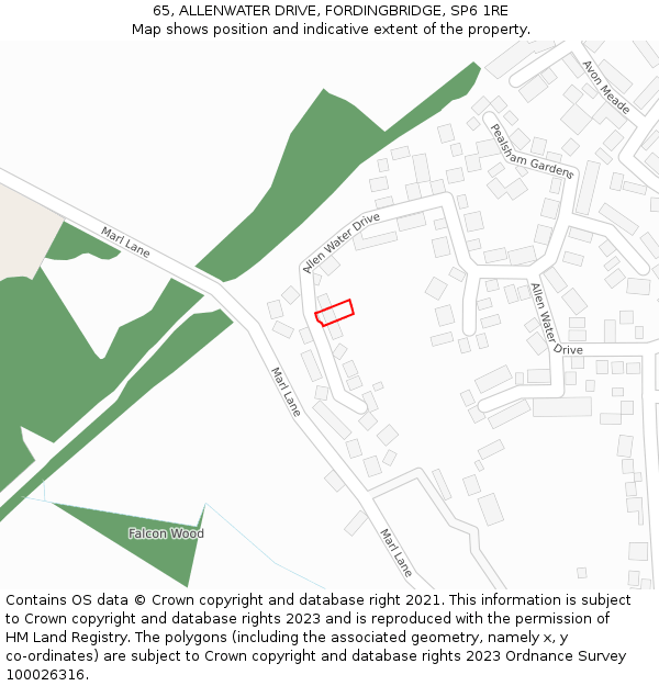 65, ALLENWATER DRIVE, FORDINGBRIDGE, SP6 1RE: Location map and indicative extent of plot