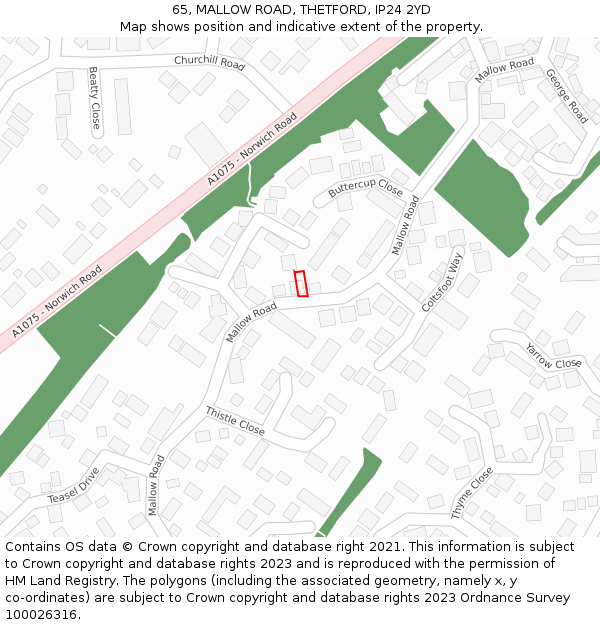65, MALLOW ROAD, THETFORD, IP24 2YD: Location map and indicative extent of plot