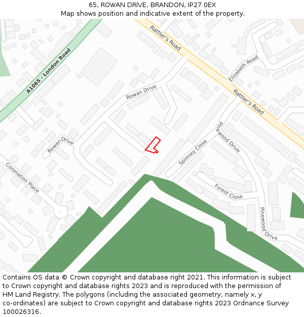 65, ROWAN DRIVE, BRANDON, IP27 0EX: Location map and indicative extent of plot