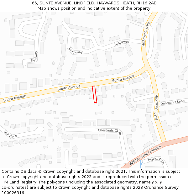65, SUNTE AVENUE, LINDFIELD, HAYWARDS HEATH, RH16 2AB: Location map and indicative extent of plot