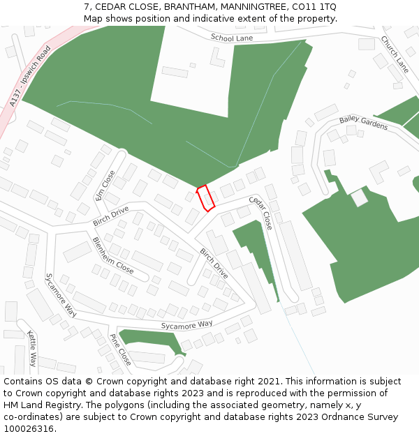 7, CEDAR CLOSE, BRANTHAM, MANNINGTREE, CO11 1TQ: Location map and indicative extent of plot