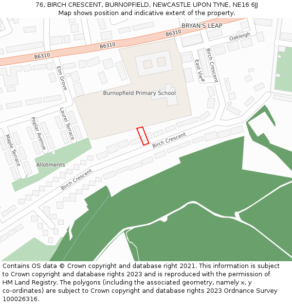 76, BIRCH CRESCENT, BURNOPFIELD, NEWCASTLE UPON TYNE, NE16 6JJ: Location map and indicative extent of plot