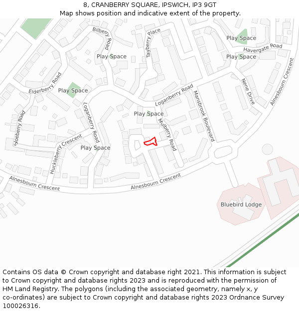 8, CRANBERRY SQUARE, IPSWICH, IP3 9GT: Location map and indicative extent of plot
