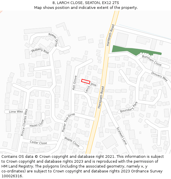 8, LARCH CLOSE, SEATON, EX12 2TS: Location map and indicative extent of plot