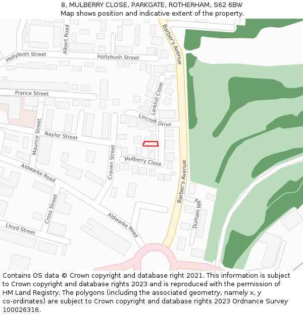 8, MULBERRY CLOSE, PARKGATE, ROTHERHAM, S62 6BW: Location map and indicative extent of plot