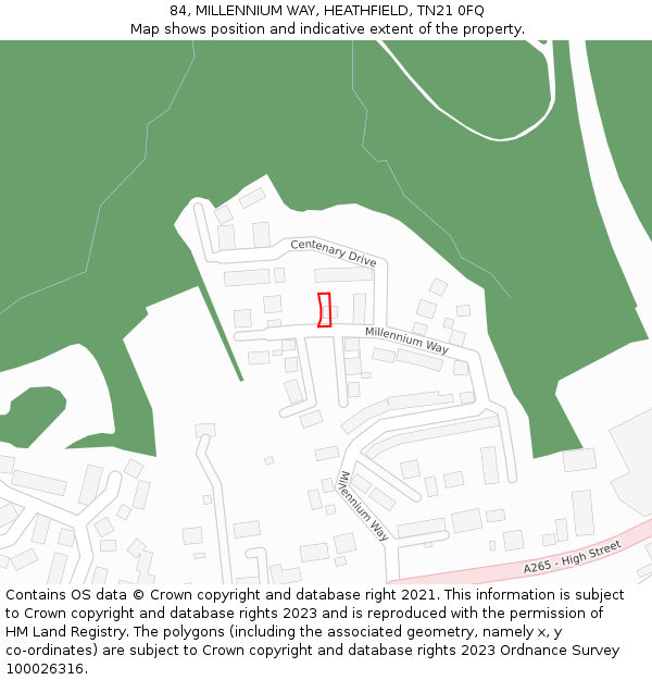 84, MILLENNIUM WAY, HEATHFIELD, TN21 0FQ: Location map and indicative extent of plot