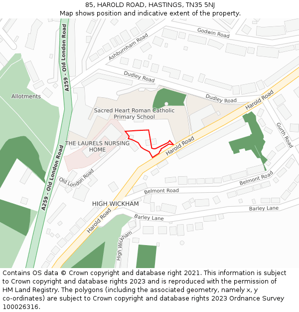 85, HAROLD ROAD, HASTINGS, TN35 5NJ: Location map and indicative extent of plot