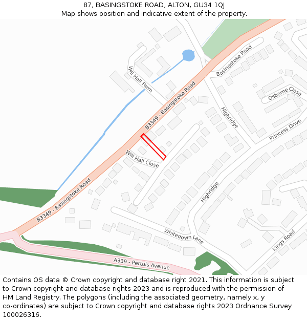 87, BASINGSTOKE ROAD, ALTON, GU34 1QJ: Location map and indicative extent of plot