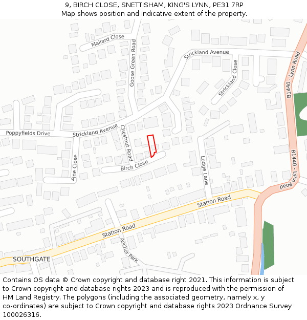 9, BIRCH CLOSE, SNETTISHAM, KING'S LYNN, PE31 7RP: Location map and indicative extent of plot