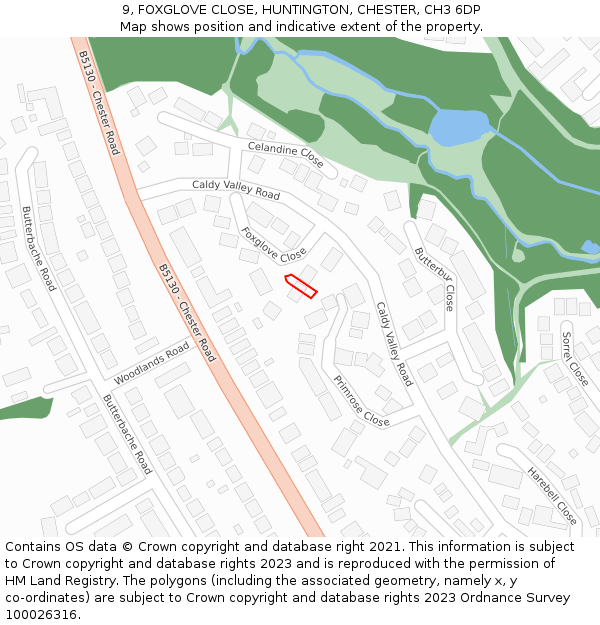 9, FOXGLOVE CLOSE, HUNTINGTON, CHESTER, CH3 6DP: Location map and indicative extent of plot