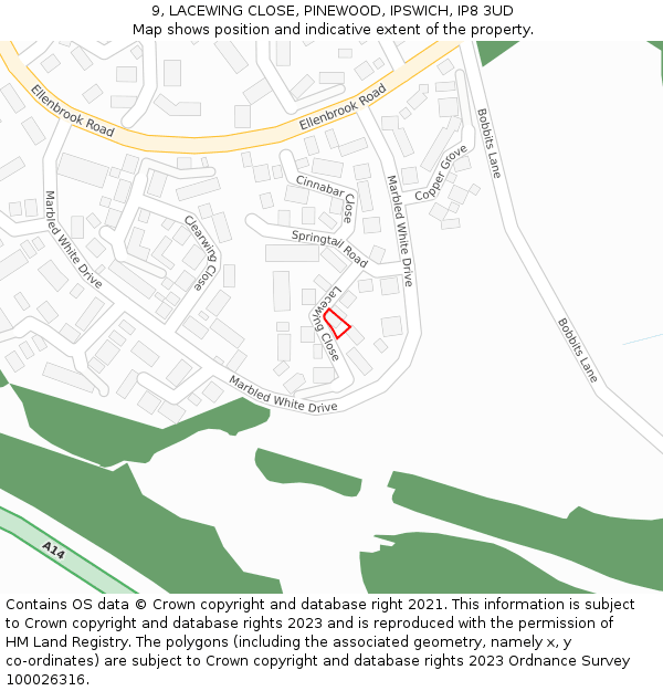 9, LACEWING CLOSE, PINEWOOD, IPSWICH, IP8 3UD: Location map and indicative extent of plot