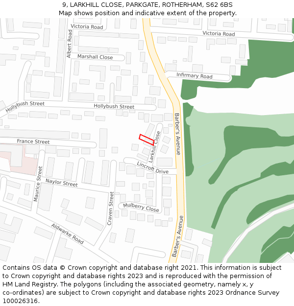 9, LARKHILL CLOSE, PARKGATE, ROTHERHAM, S62 6BS: Location map and indicative extent of plot