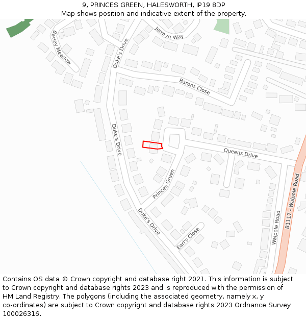 9, PRINCES GREEN, HALESWORTH, IP19 8DP: Location map and indicative extent of plot