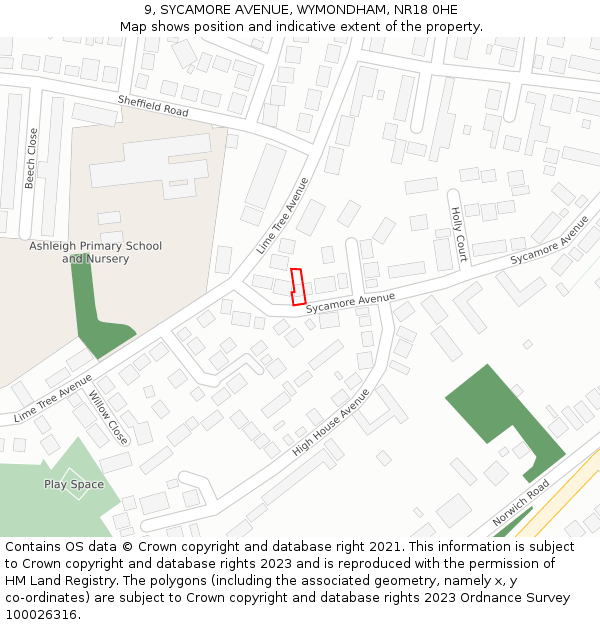 9, SYCAMORE AVENUE, WYMONDHAM, NR18 0HE: Location map and indicative extent of plot
