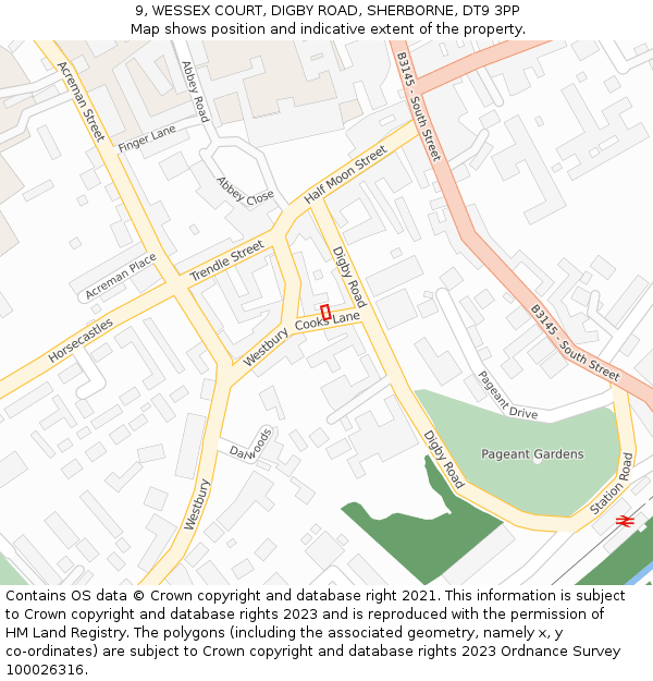 9, WESSEX COURT, DIGBY ROAD, SHERBORNE, DT9 3PP: Location map and indicative extent of plot