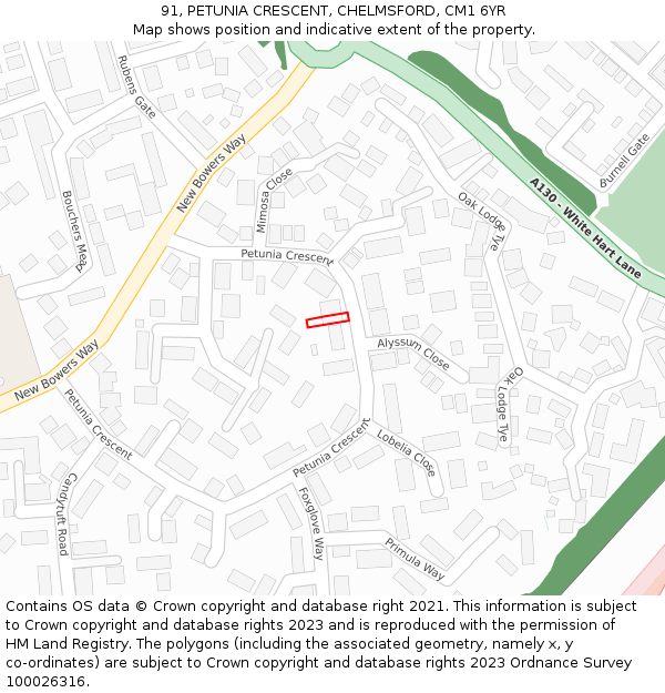 91, PETUNIA CRESCENT, CHELMSFORD, CM1 6YR: Location map and indicative extent of plot
