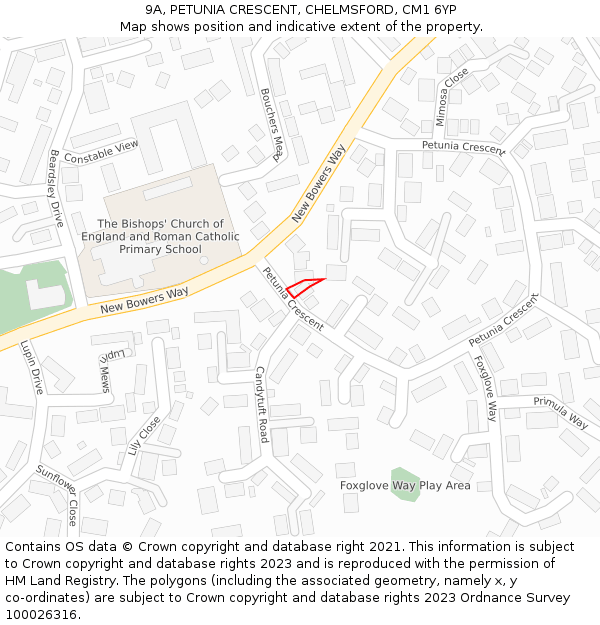 9A, PETUNIA CRESCENT, CHELMSFORD, CM1 6YP: Location map and indicative extent of plot