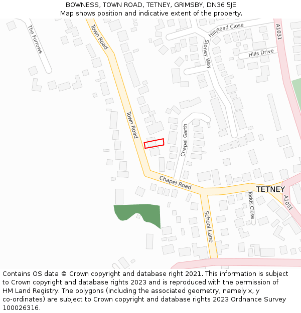 BOWNESS, TOWN ROAD, TETNEY, GRIMSBY, DN36 5JE: Location map and indicative extent of plot