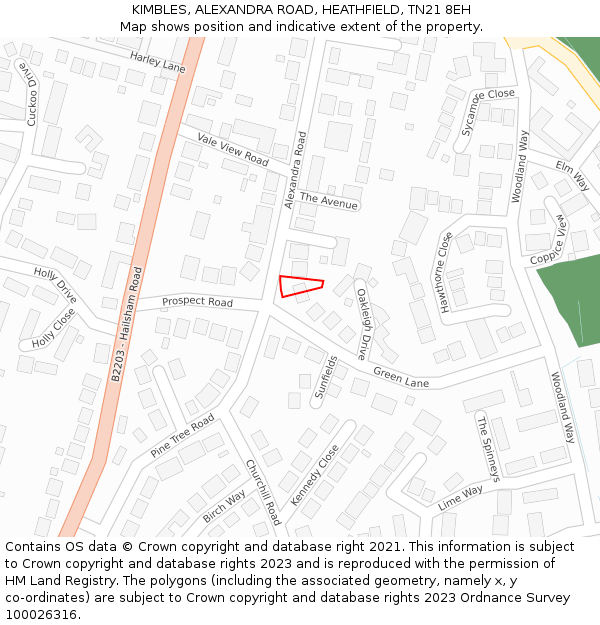 KIMBLES, ALEXANDRA ROAD, HEATHFIELD, TN21 8EH: Location map and indicative extent of plot