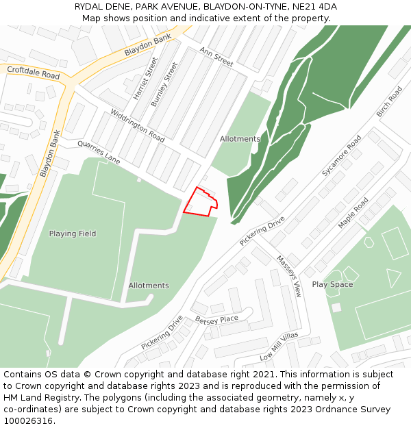 RYDAL DENE, PARK AVENUE, BLAYDON-ON-TYNE, NE21 4DA: Location map and indicative extent of plot
