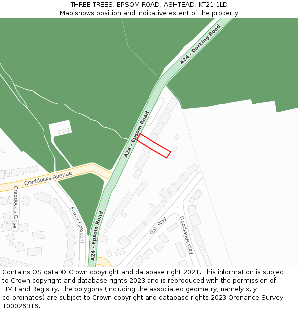 THREE TREES, EPSOM ROAD, ASHTEAD, KT21 1LD: Location map and indicative extent of plot
