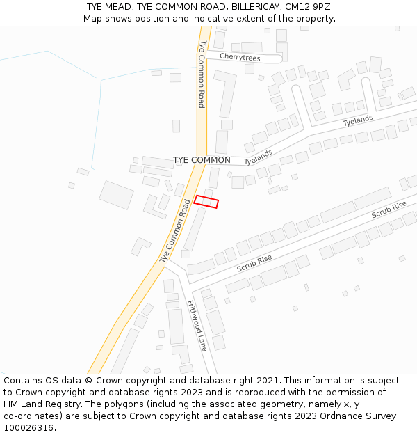 TYE MEAD, TYE COMMON ROAD, BILLERICAY, CM12 9PZ: Location map and indicative extent of plot