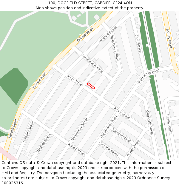 100, DOGFIELD STREET, CARDIFF, CF24 4QN: Location map and indicative extent of plot