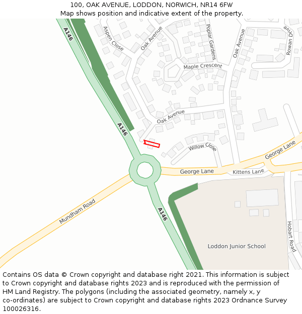 100, OAK AVENUE, LODDON, NORWICH, NR14 6FW: Location map and indicative extent of plot