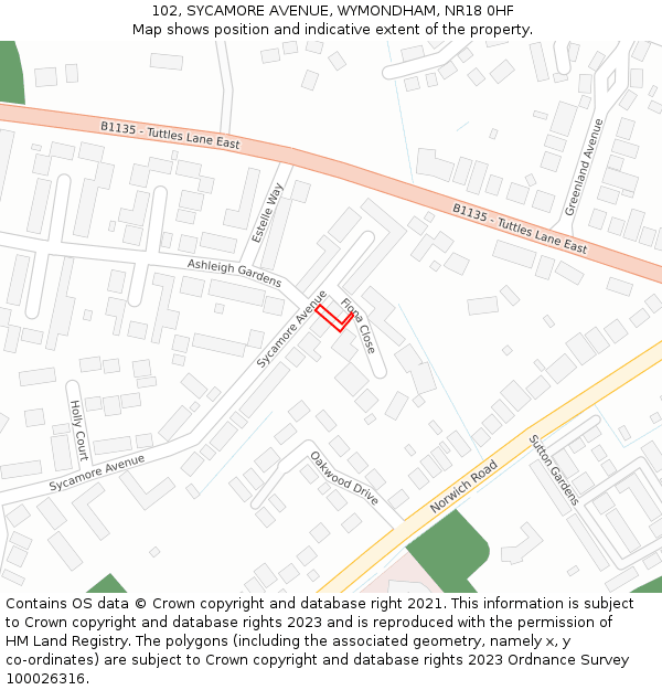 102, SYCAMORE AVENUE, WYMONDHAM, NR18 0HF: Location map and indicative extent of plot