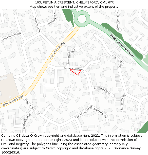 103, PETUNIA CRESCENT, CHELMSFORD, CM1 6YR: Location map and indicative extent of plot