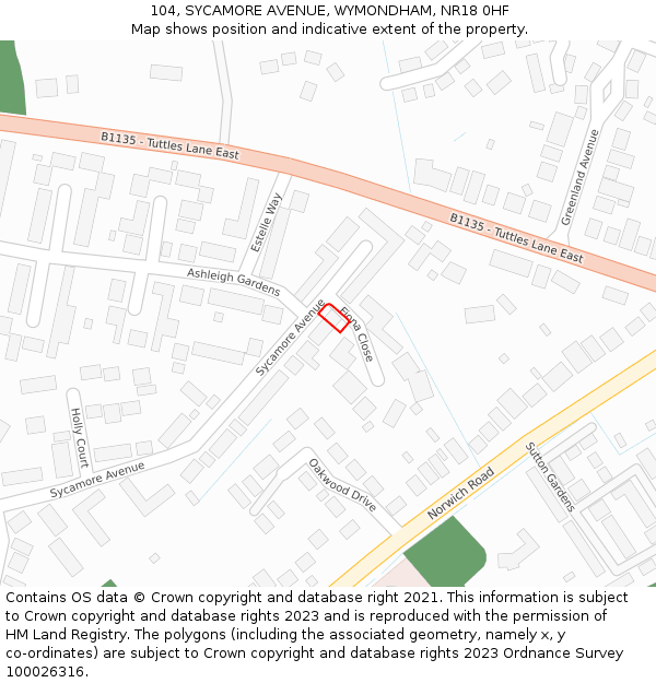 104, SYCAMORE AVENUE, WYMONDHAM, NR18 0HF: Location map and indicative extent of plot