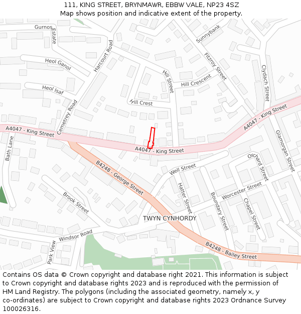 111, KING STREET, BRYNMAWR, EBBW VALE, NP23 4SZ: Location map and indicative extent of plot