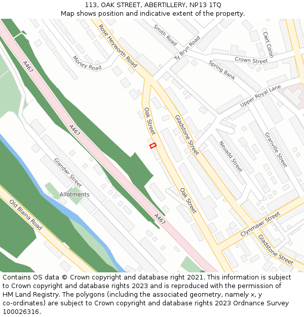 113, OAK STREET, ABERTILLERY, NP13 1TQ: Location map and indicative extent of plot