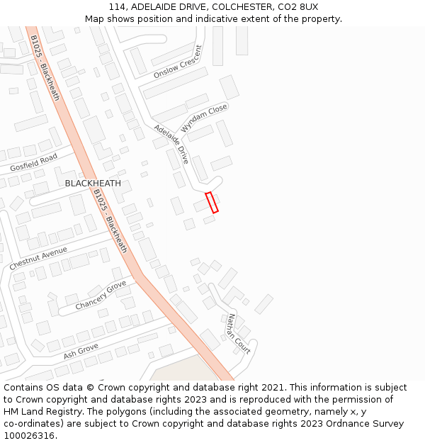 114, ADELAIDE DRIVE, COLCHESTER, CO2 8UX: Location map and indicative extent of plot