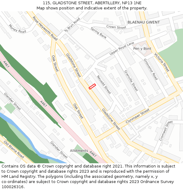 115, GLADSTONE STREET, ABERTILLERY, NP13 1NE: Location map and indicative extent of plot