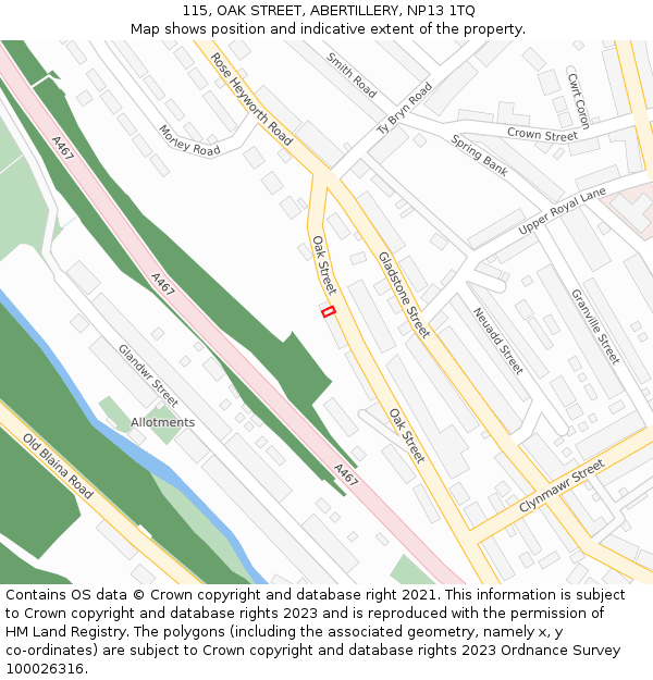 115, OAK STREET, ABERTILLERY, NP13 1TQ: Location map and indicative extent of plot