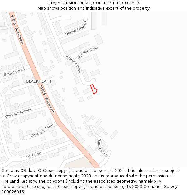 116, ADELAIDE DRIVE, COLCHESTER, CO2 8UX: Location map and indicative extent of plot