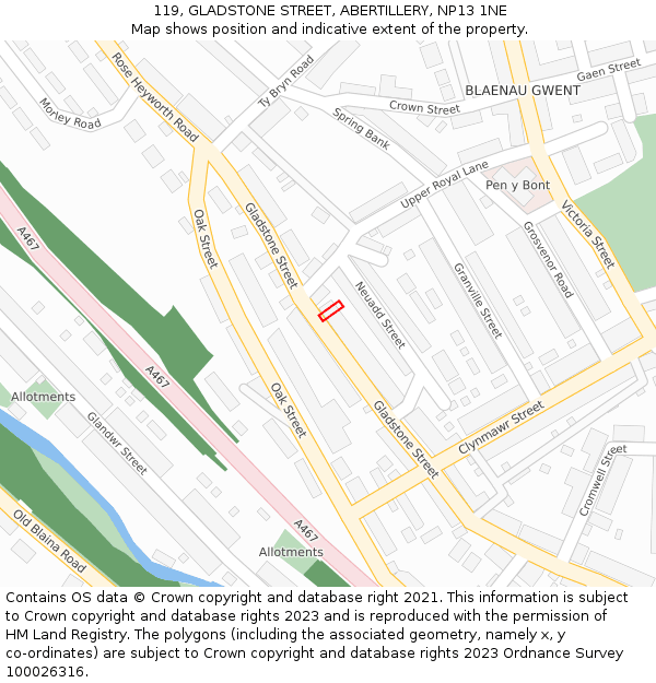 119, GLADSTONE STREET, ABERTILLERY, NP13 1NE: Location map and indicative extent of plot