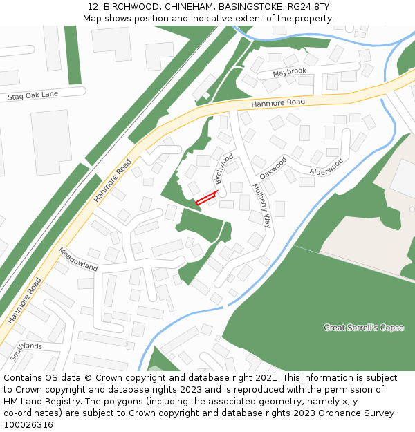 12, BIRCHWOOD, CHINEHAM, BASINGSTOKE, RG24 8TY: Location map and indicative extent of plot