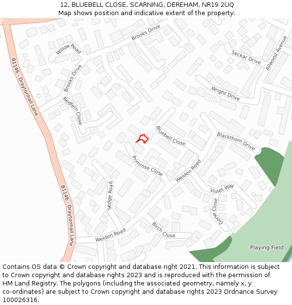 12, BLUEBELL CLOSE, SCARNING, DEREHAM, NR19 2UQ: Location map and indicative extent of plot