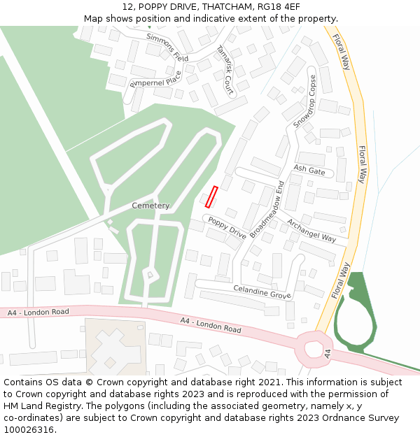 12, POPPY DRIVE, THATCHAM, RG18 4EF: Location map and indicative extent of plot