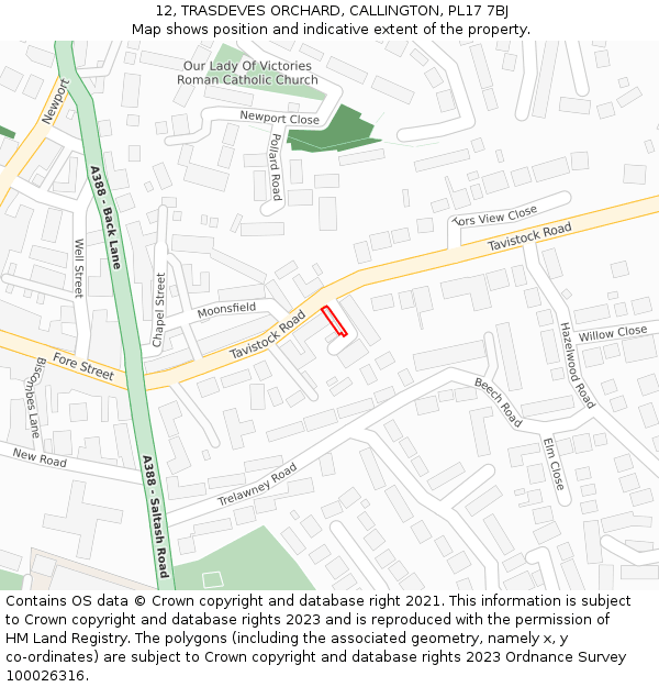 12, TRASDEVES ORCHARD, CALLINGTON, PL17 7BJ: Location map and indicative extent of plot