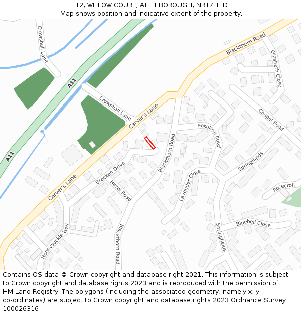 12, WILLOW COURT, ATTLEBOROUGH, NR17 1TD: Location map and indicative extent of plot