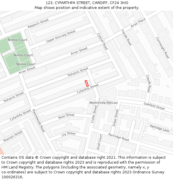 123, CYFARTHFA STREET, CARDIFF, CF24 3HG: Location map and indicative extent of plot