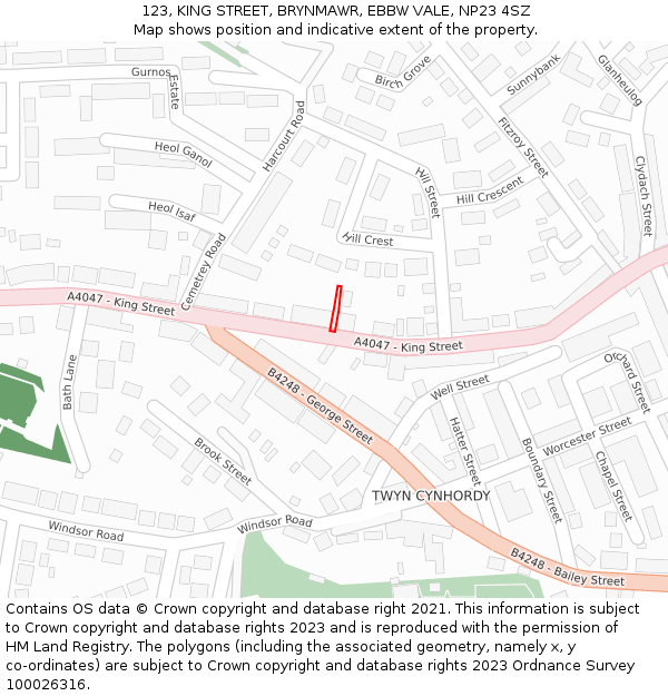 123, KING STREET, BRYNMAWR, EBBW VALE, NP23 4SZ: Location map and indicative extent of plot