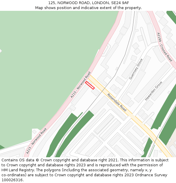 125, NORWOOD ROAD, LONDON, SE24 9AF: Location map and indicative extent of plot