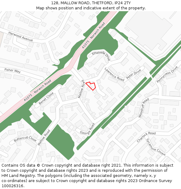 128, MALLOW ROAD, THETFORD, IP24 2TY: Location map and indicative extent of plot