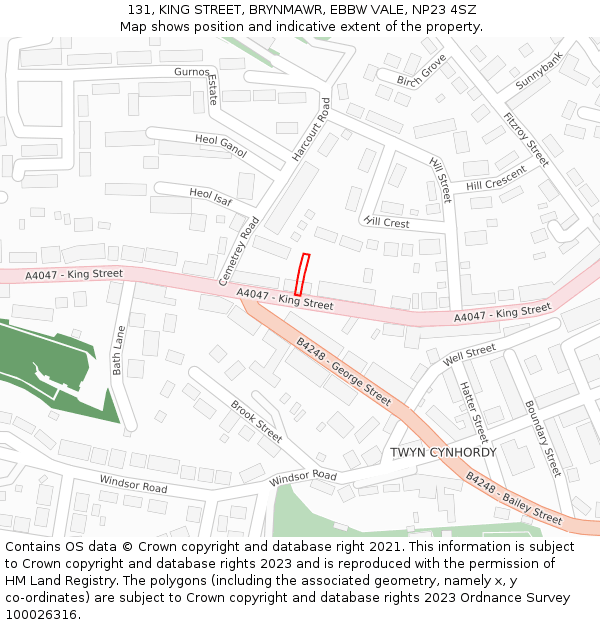 131, KING STREET, BRYNMAWR, EBBW VALE, NP23 4SZ: Location map and indicative extent of plot